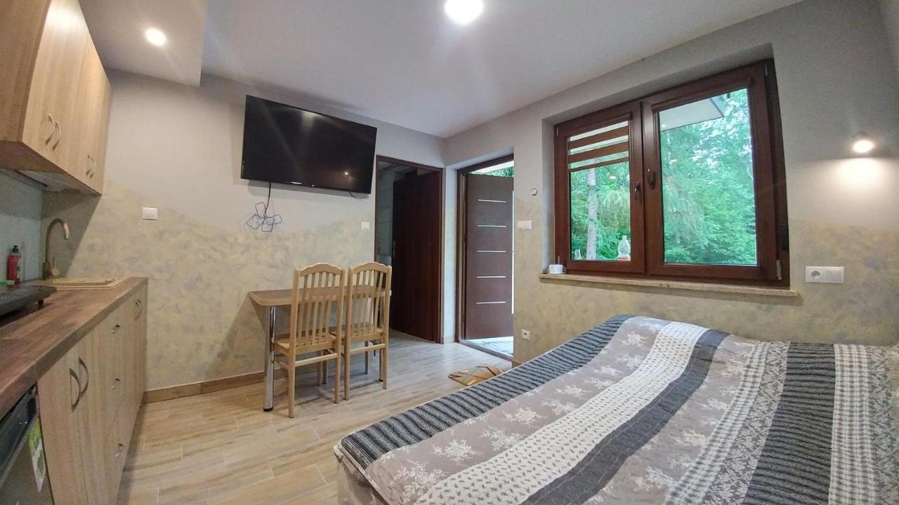 Cypla Czar Apartment Polanczyk Ngoại thất bức ảnh