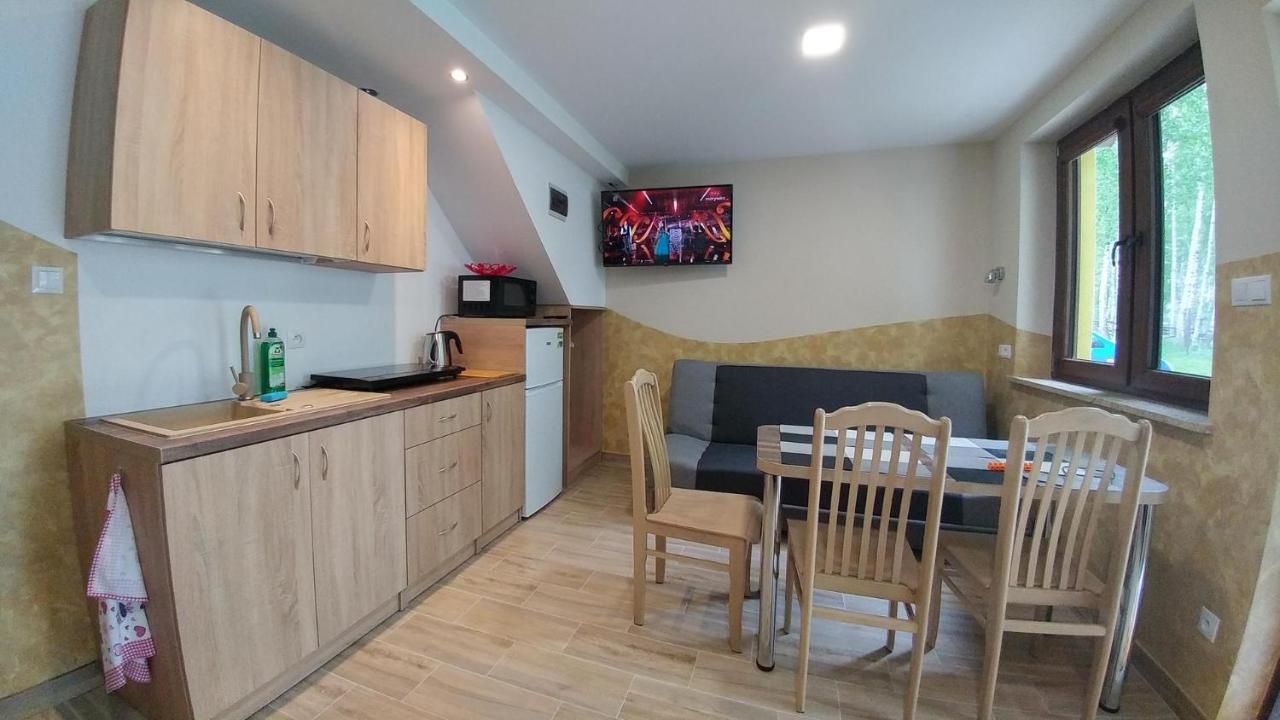 Cypla Czar Apartment Polanczyk Ngoại thất bức ảnh
